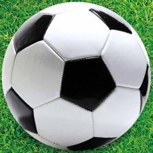 Fotbollsplan Godispåse 6-pack